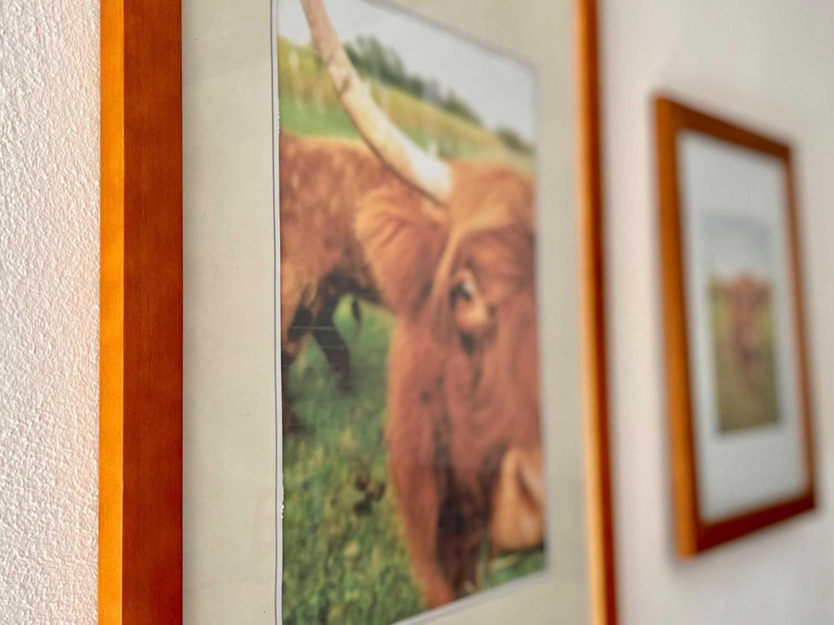 Appartamento Schnaid Im Glueck Hallerndorf Esterno foto
